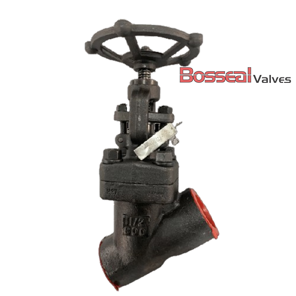 Welded Bonnet Y Globe Valve, ANSI 2500, A182 F91, 1 IN, NPT