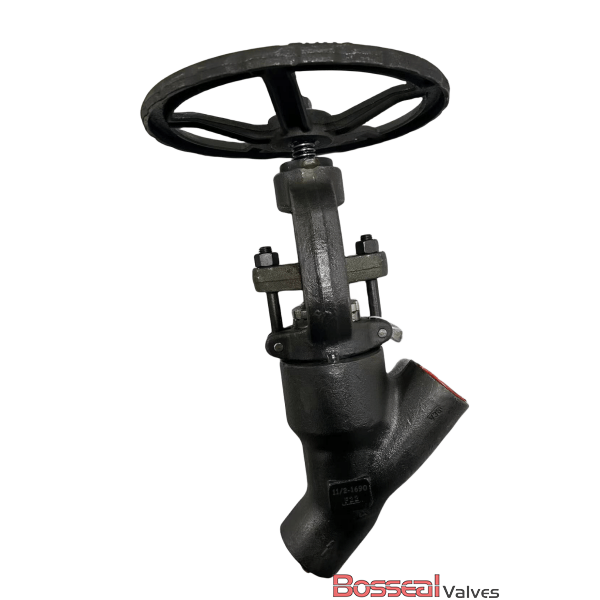 Y Pattern Globe Valves, A182 F316, 4500 LB, 1/2 IN, API 602
